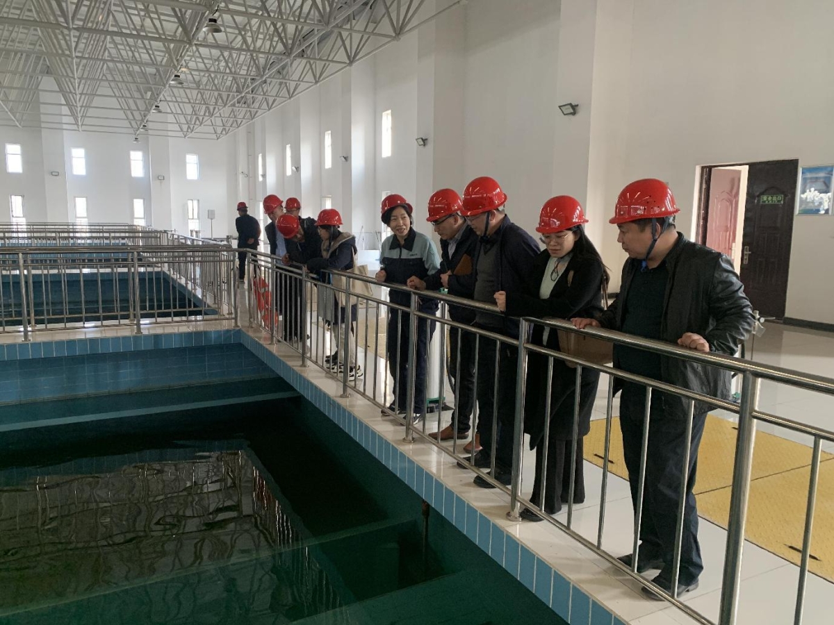 圖片3壓縮 圖片3壓縮